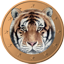 Tigercoin