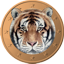 Tigercoin (TGC) Cryptocurrency Logo