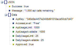 Example API Key Information API JSON Response